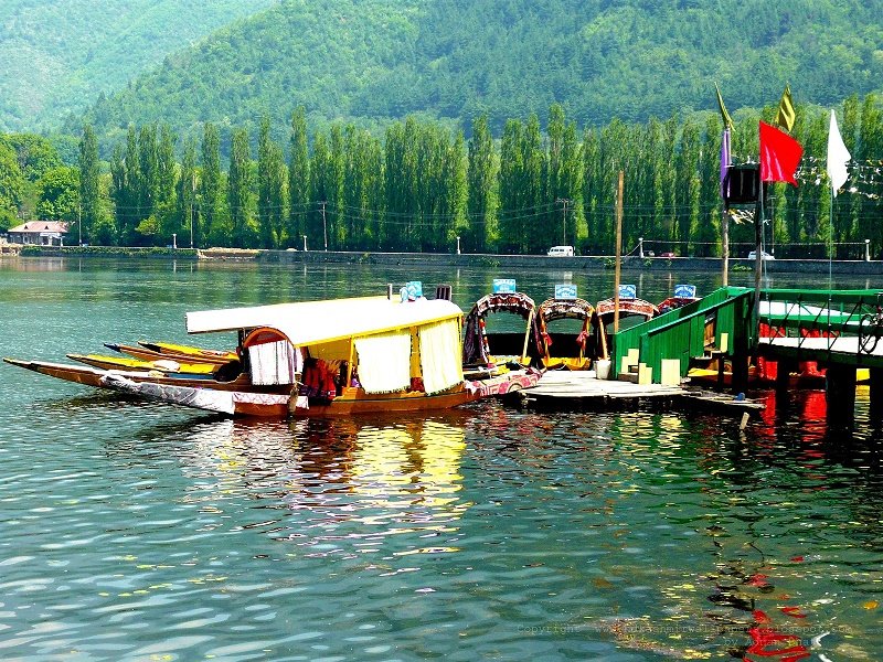 Group Tour Packages Kashmir